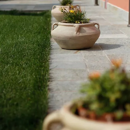 Della Ceramica Hotel 3*