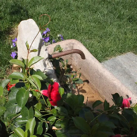 Della Ceramica 3* Villanova Mondovì