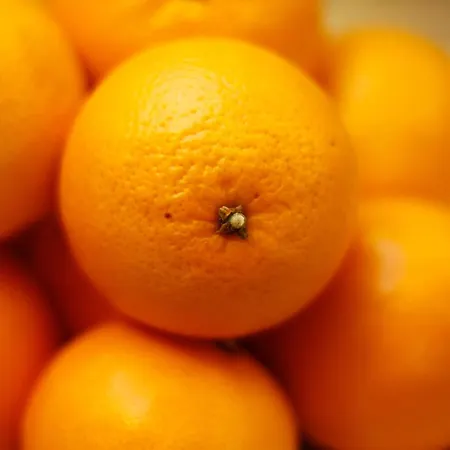 Della Ceramica Hotel Villanova Mondovì