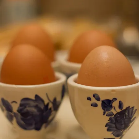 Hotel Della Ceramica