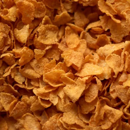 Della Ceramica Hotel 3*