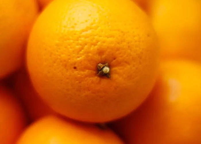 Della Ceramica Hotel Villanova Mondovì